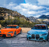 Rose branches and thorn windshield sticker design shown on a Subaru car and a BMW car